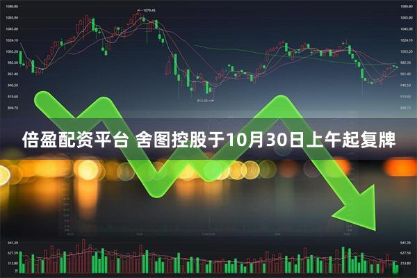 倍盈配资平台 舍图控股于10月30日上午起复牌