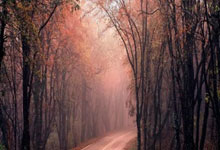 股票杠杆如何开通:多少岁可以开股票开户-罗马仕充电宝起火“烧到”了A股公司：卓翼科技起诉追讨1.36亿元